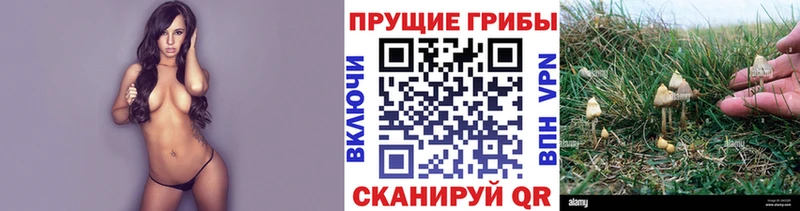 наркотики  Мирный  Псилоцибиновые грибы Magic Shrooms 