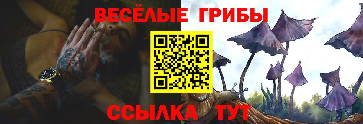 Галлюциногенные грибы Cubensis  Вход с VPN  наркота  Мирный 