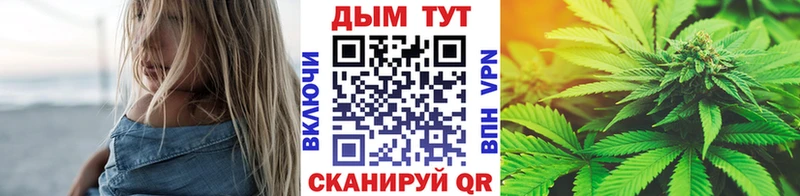Шишки марихуана OG Kush  Мирный 